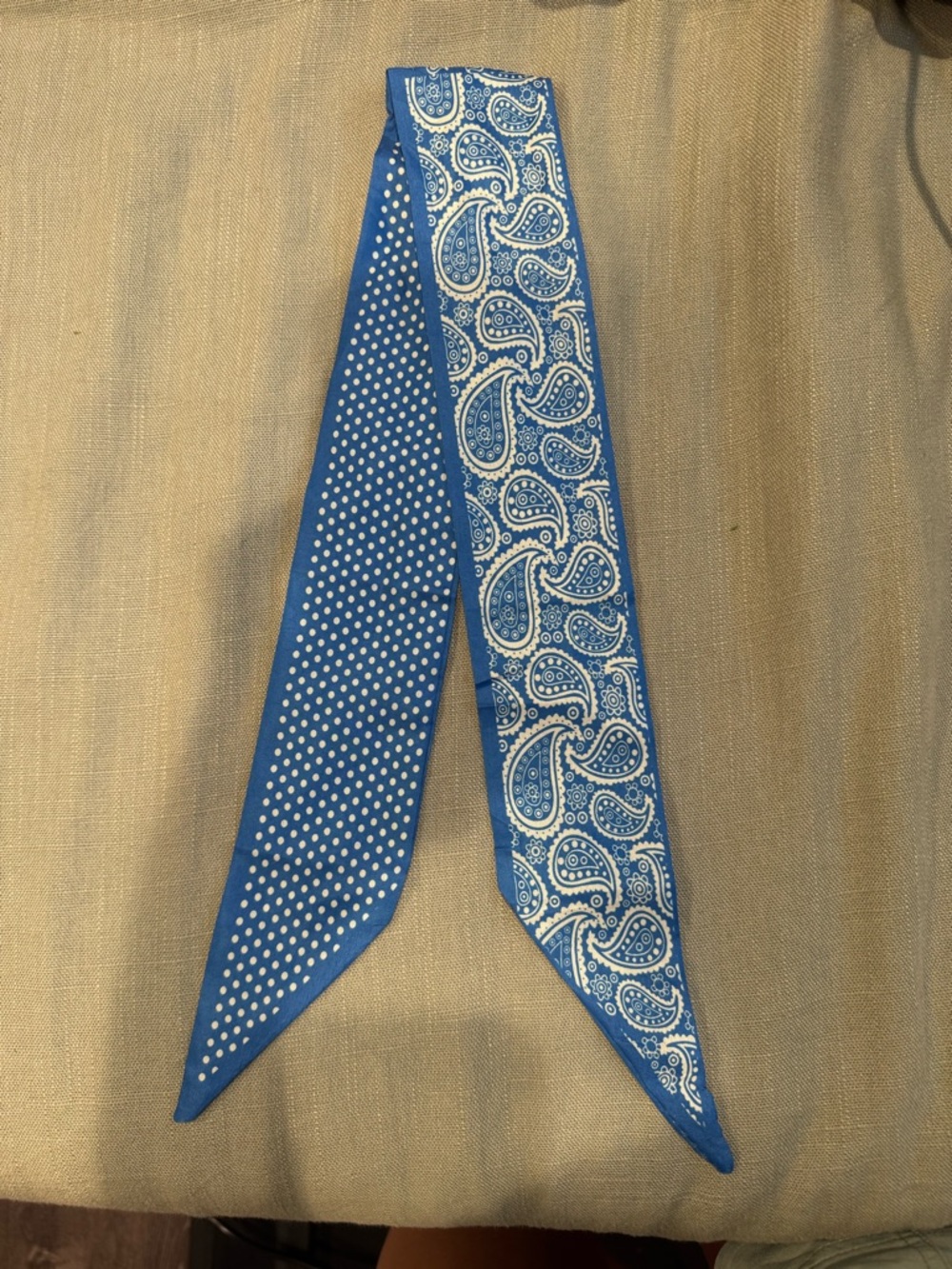 Blue Paisley & Polka Dot Twilly